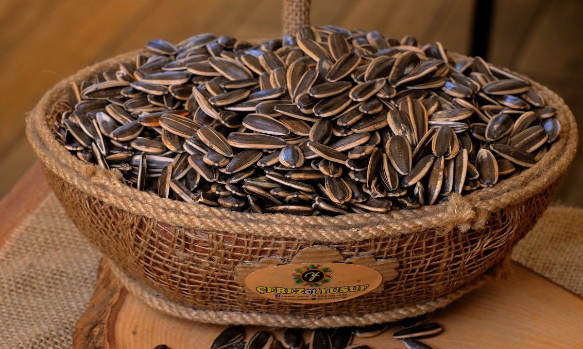 Siyah Ayçekirdeği