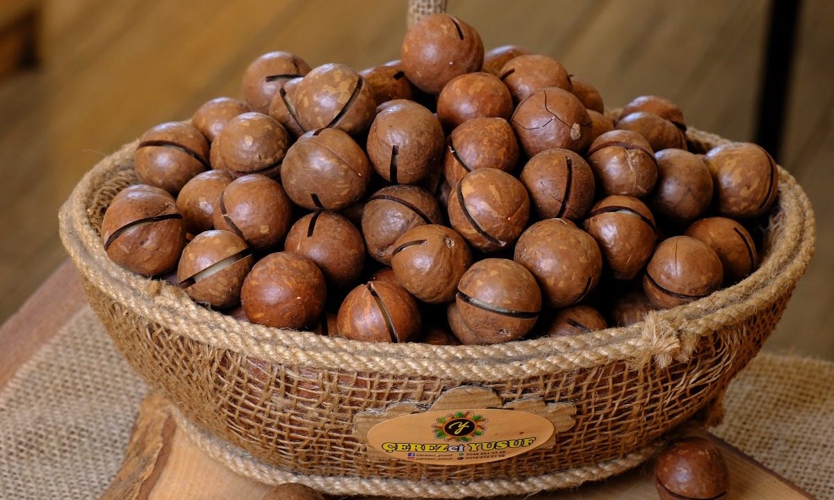 Makademya Fındık