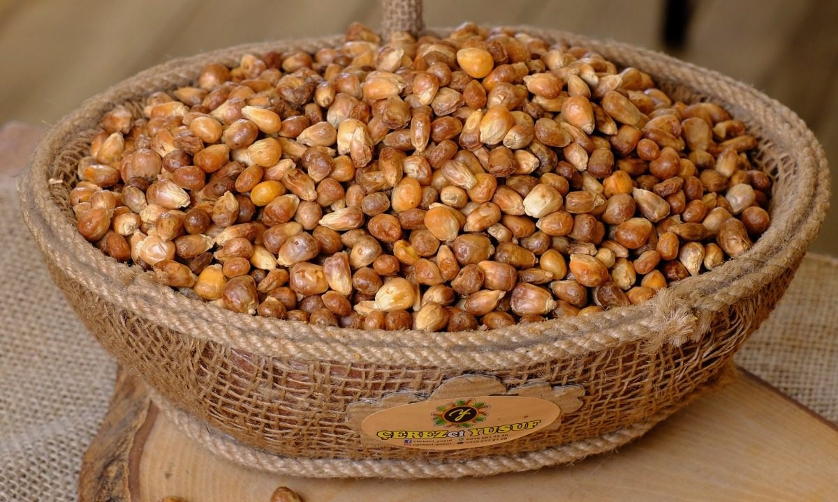Mısır Kavurga